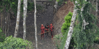Povos que nunca tiveram contato com a civilização são filmados por drones na Amazônia