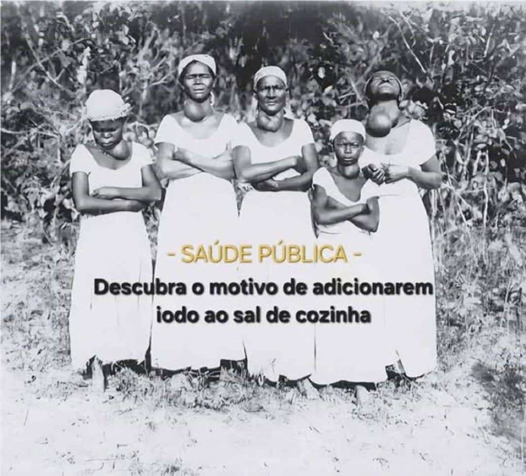 “O Dia em que o Sal Salvou o Mundo”