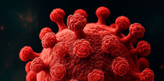 Cientistas dão passo histórico rumo à cura do HIV!