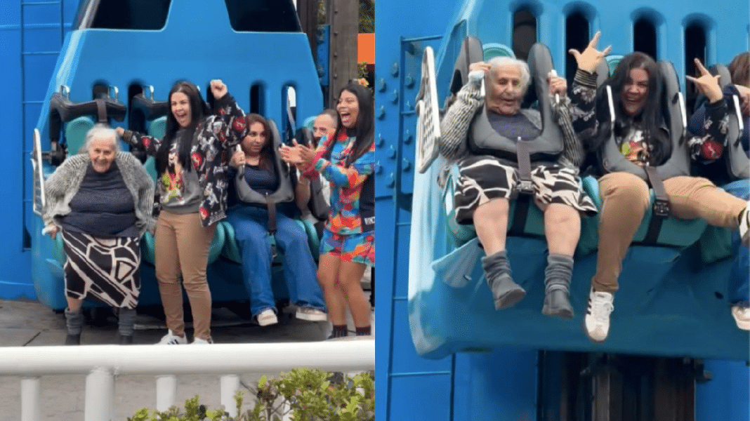 Idosa de 88 anos desafia a Big Tower no Beto Carrero e dá aula de coragem aos mais jovens!