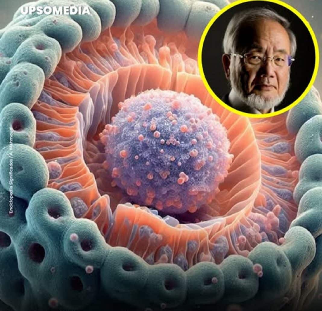 O Segredo do Corpo que Pode Prevenir o Envelhecimento e Doenças Graves