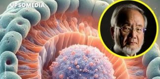 O Segredo do Corpo que Pode Prevenir o Envelhecimento e Doenças Graves