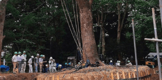 sabervivermais.com -