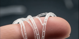 A bactéria gigante que está chocando a ciência e mudando o que sabíamos sobre a vida!