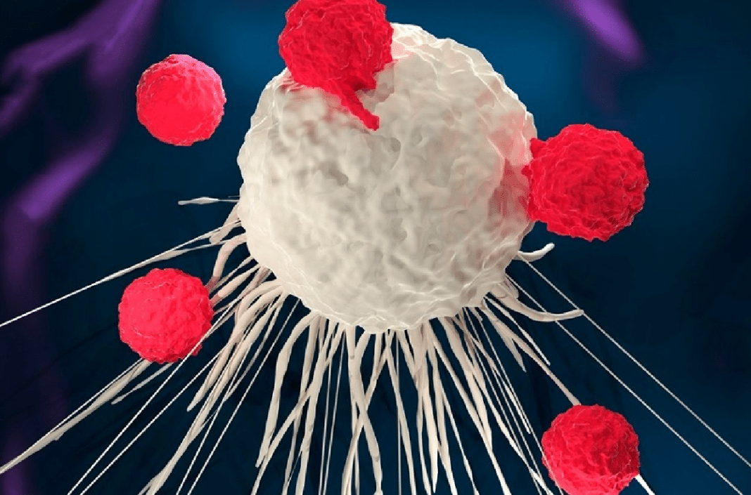 A descoberta que promete virar o jogo contra o câncer: o corpo volta a lutar