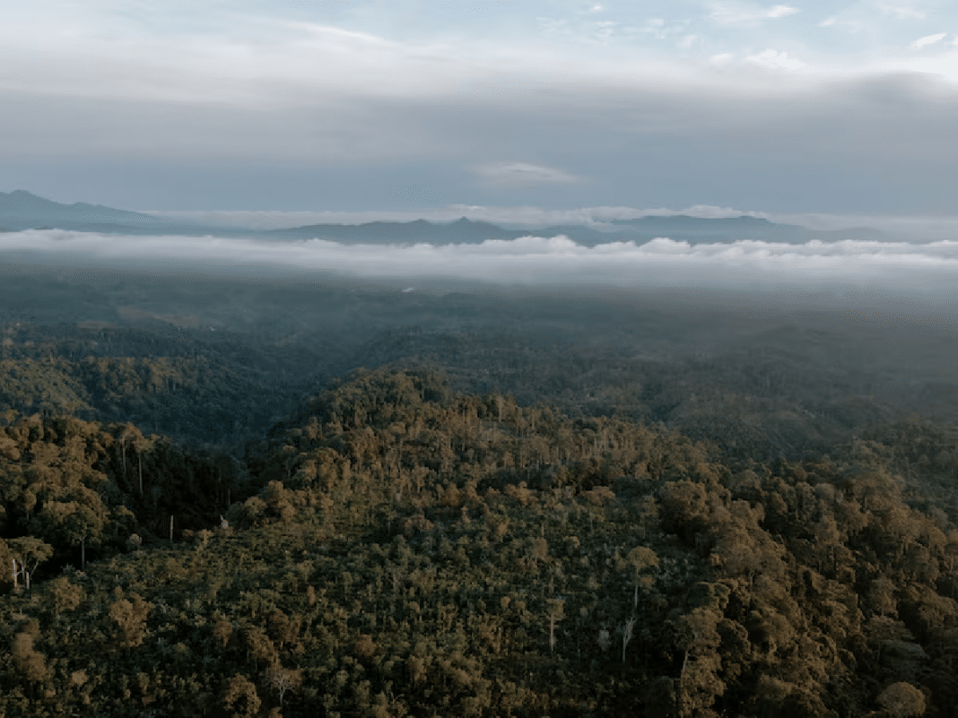 China diz NÃO ao fundo global do Brasil — e o mundo quer saber por quê
