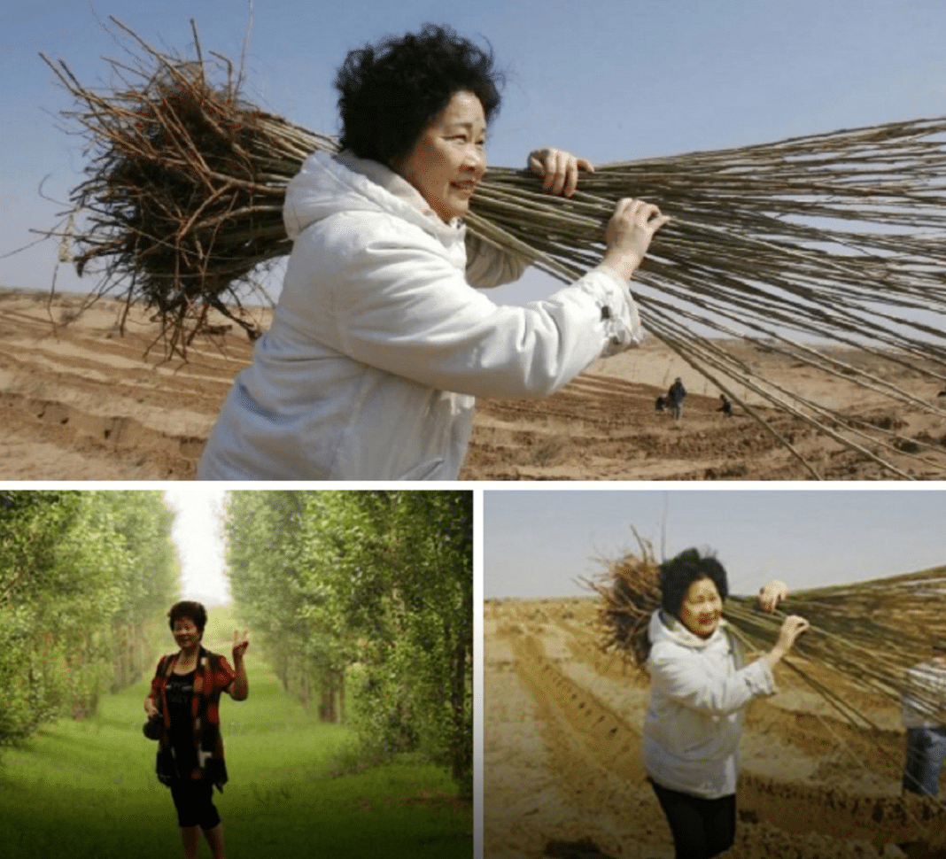 Ela Perdeu o Filho… e Respondeu Plantando Milhões de Árvores: A História que Emocionou o Mundo