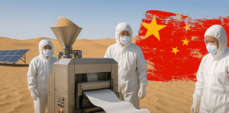 sabervivermais.com -