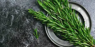 “Alecrim e hortelã fazem o cabelo crescer? Ciência confirma efeito surpreendente”