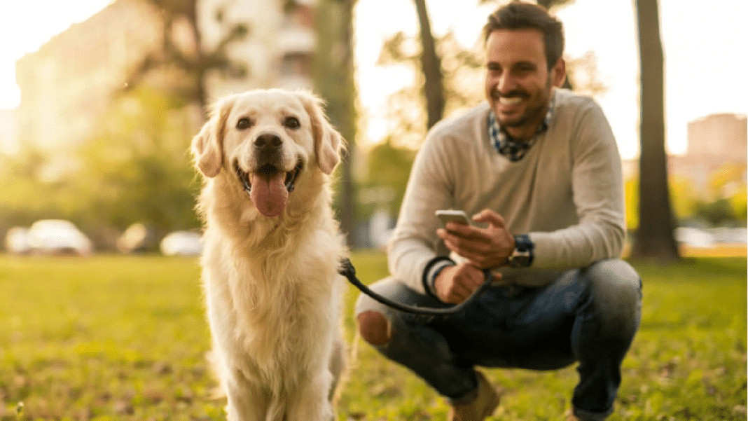 Se você conversa com seu cachorro, a ciência tem uma boa notícia