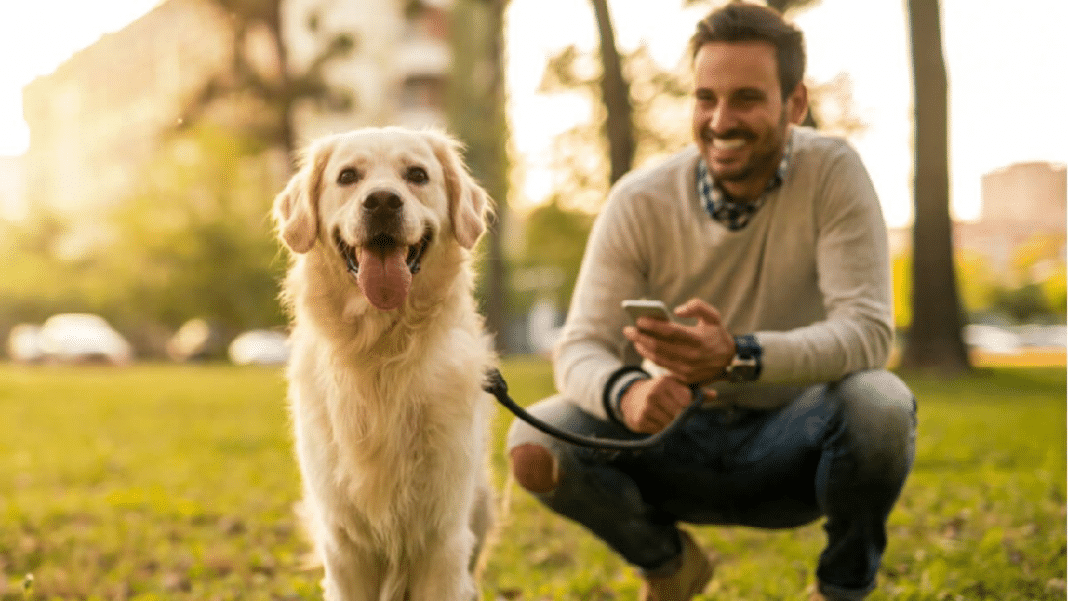 cachorro2 Se você conversa com seu cachorro, a ciência tem uma boa notícia