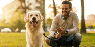 Se você conversa com seu cachorro, a ciência tem uma boa notícia