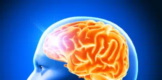 Novo Estudo Revela: A Adolescência Só Acaba aos 32 Anos!