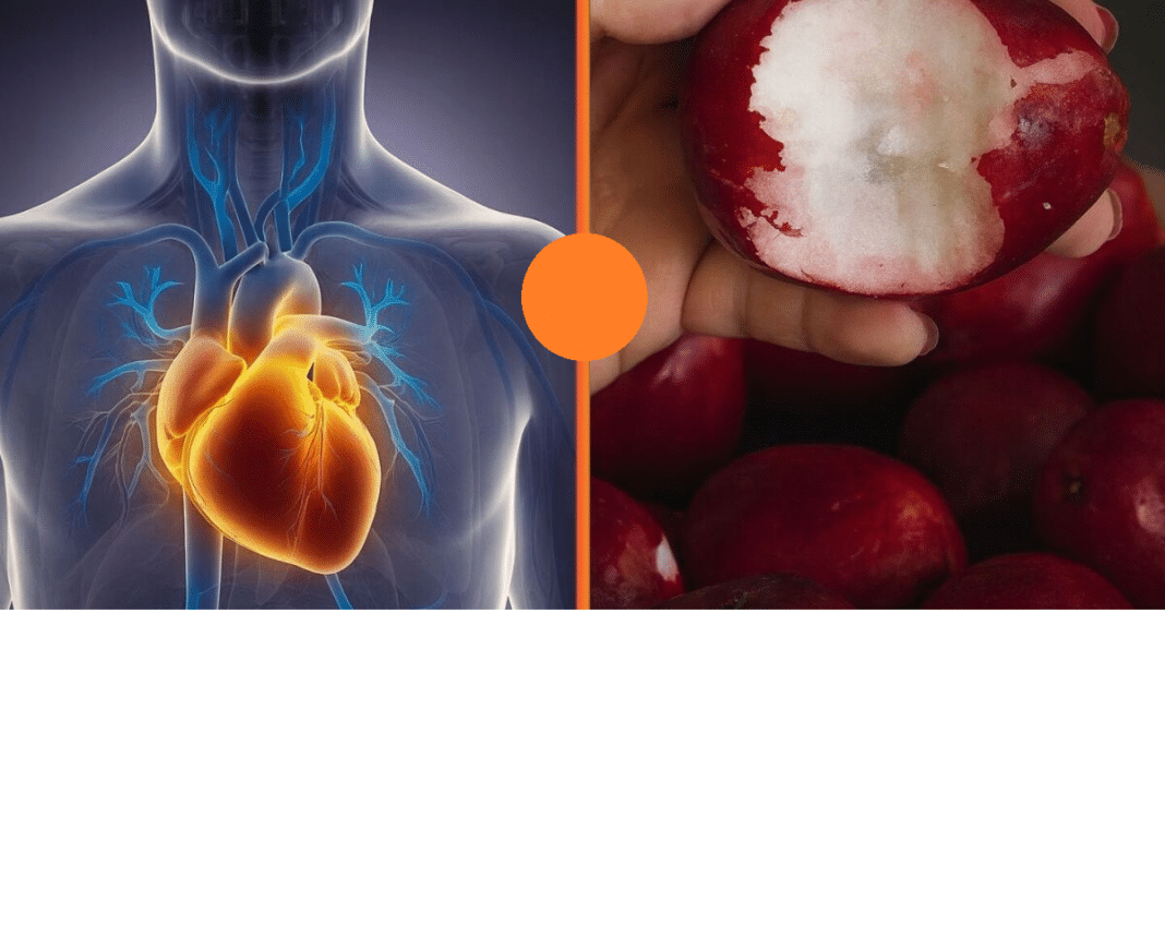 O FRUTO ESQUECIDO QUE PODE TURBINAR SUA SAÚDE DO CORAÇÃO — E QUASE NINGUÉM FALA SOBRE ELE!