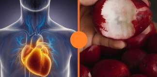 O FRUTO ESQUECIDO QUE PODE TURBINAR SUA SAÚDE DO CORAÇÃO — E QUASE NINGUÉM FALA SOBRE ELE!