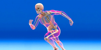 Pessoas que nunca quebraram um osso: ciência revela por que algumas parecem “indestrutíveis”