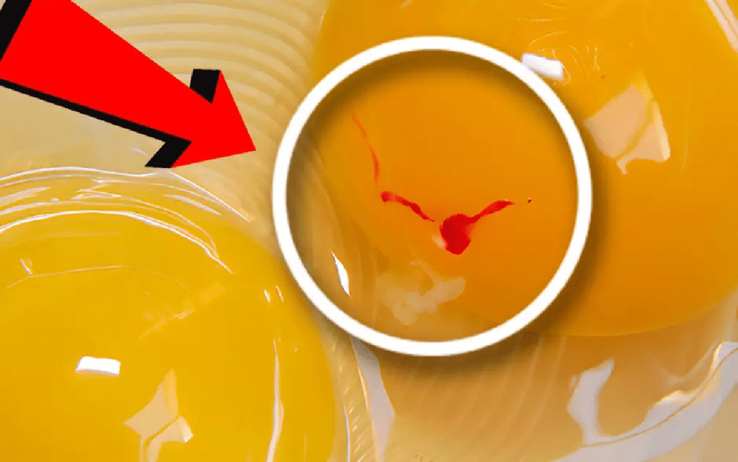 Você já encontrou essa mancha vermelha no ovo? Veja o que ela significa