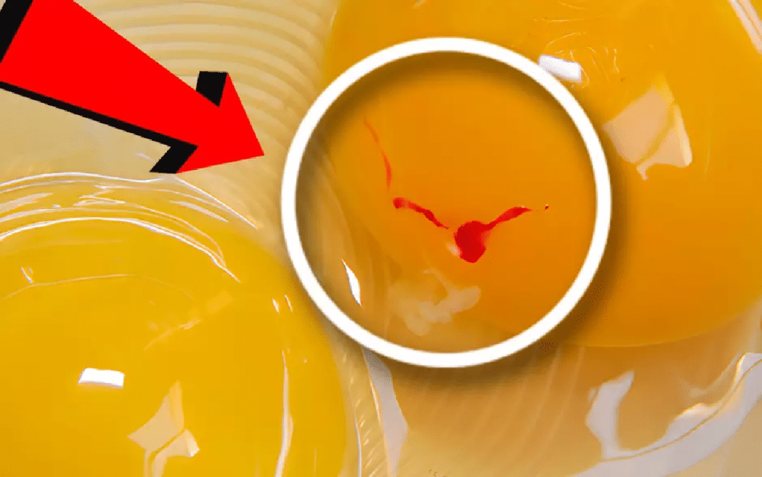 Você já encontrou essa mancha vermelha no ovo? Veja o que ela significa