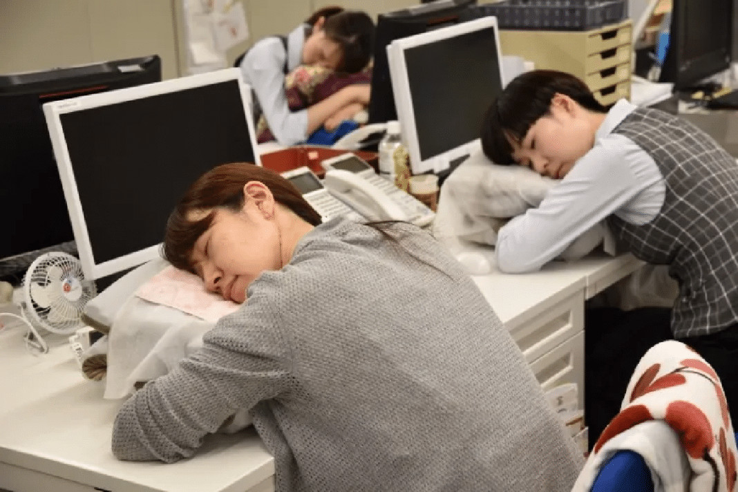 Cochilos à tarde podem ajudar a “limpar” o cérebro e melhorar a capacidade de aprendizado