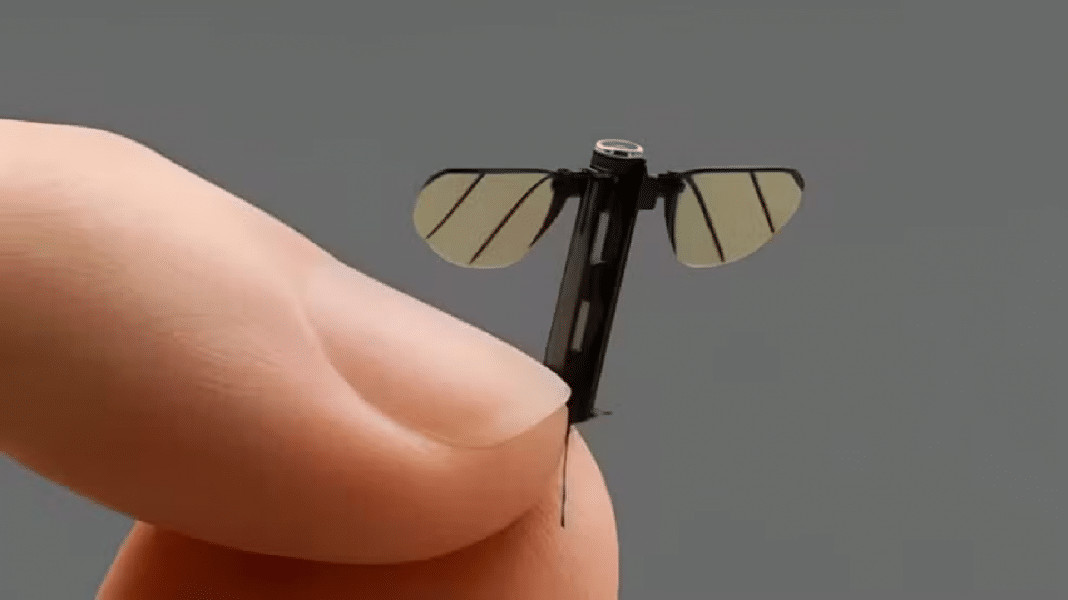 China cria drone do tamanho de um inseto e levanta debate sobre guerras do futuro