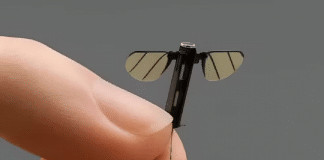 China cria drone do tamanho de um inseto e levanta debate sobre guerras do futuro