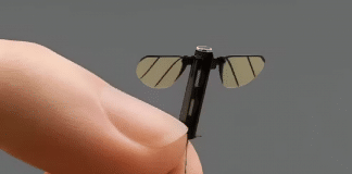 China cria drone do tamanho de um inseto e levanta debate sobre guerras do futuro