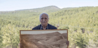 Ele plantou árvores por 41 anos — e transformou uma terra morta em floresta viva