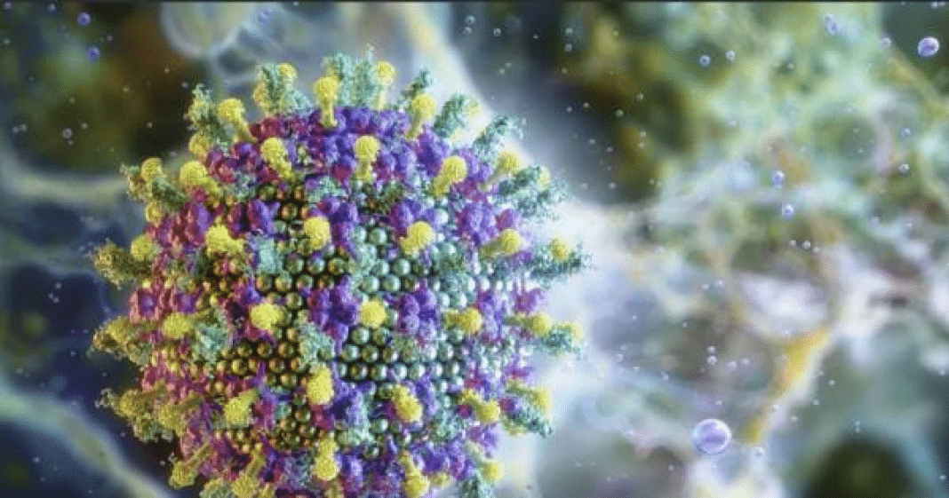 Vírus Nipah: por que aeroportos do mundo voltaram a reforçar triagens de saúde