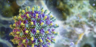 Vírus Nipah: por que aeroportos do mundo voltaram a reforçar triagens de saúde