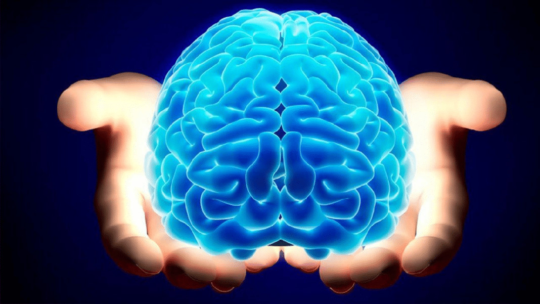 CIENTISTAS DÃO PASSO HISTÓRICO E DESCOBREM CAMINHO PROMISSOR PARA RESTAURAR MEMÓRIA NO ALZHEIMER