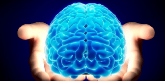 CIENTISTAS DÃO PASSO HISTÓRICO E DESCOBREM CAMINHO PROMISSOR PARA RESTAURAR MEMÓRIA NO ALZHEIMER