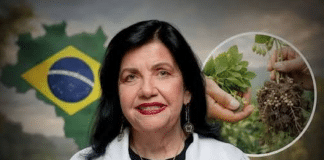 Cientista brasileira passa 40 anos estudando bactérias e cria solução que pode aposentar fertilizantes químicos