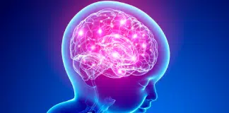 sabervivermais.com -