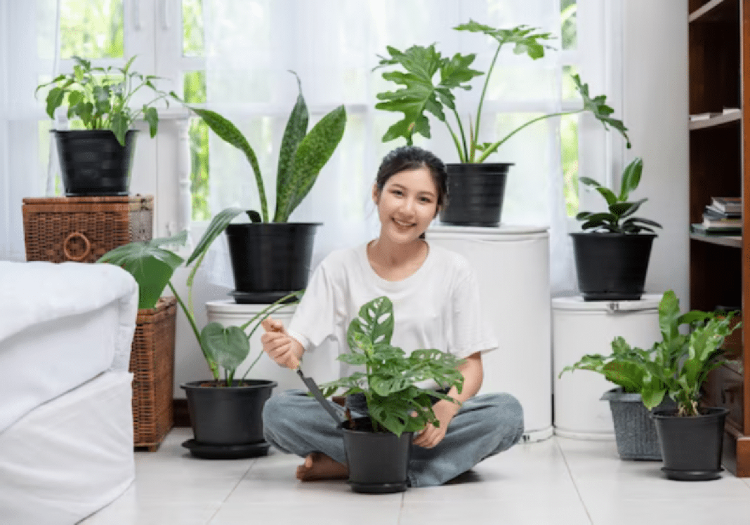 Essas 7 plantas podem melhorar o ar da sua casa e muita gente ainda não sabe