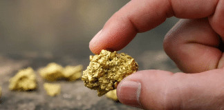 Você tem ouro dentro de casa e nem imagina — esse eletrodoméstico comum pode conter até 22 quilates!